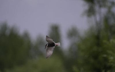 Blog 26 10 estrategias efectivas para lograr la libertad financiera (y mi experiencia personal)