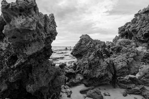 Cómo ganar dinero estando de vacaciones: estrategias efectivas 2 como ganar dinero estando de vacaciones 2