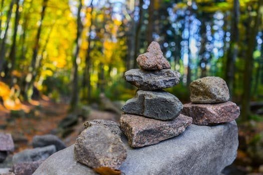 precrastinacion vs procrastinacion encuentra el equilibrio 2